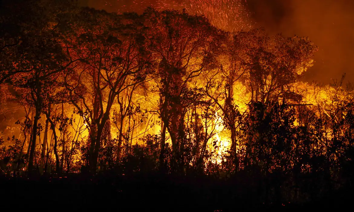 © Joédson Alves/Agência Brasil.