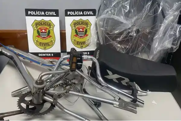 Foto: Polícia Civil/reprodução