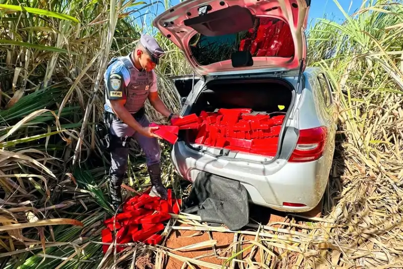 Foto: Divulgação/Polícia Militar Rodoviária