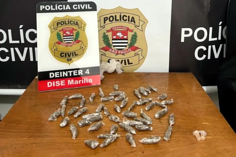 Foto: Divulgação/Polícia Civil