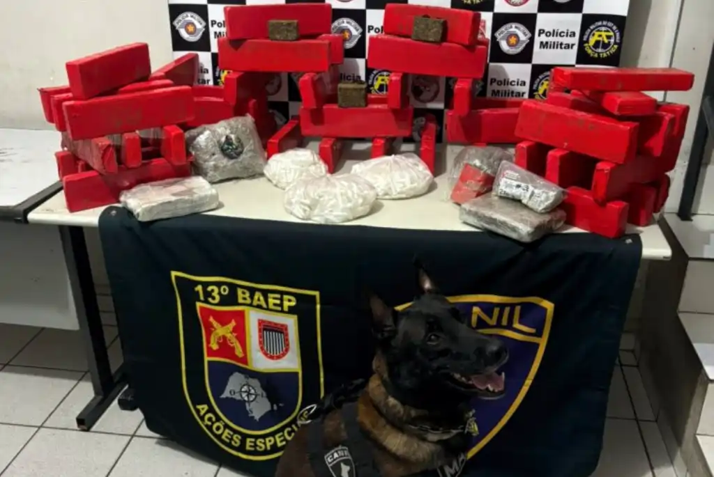 Maconha e cocaína apreendidas com apoio do cão Max, do Canil da Polícia Militar - Foto: Divulgação/Polícia Militar