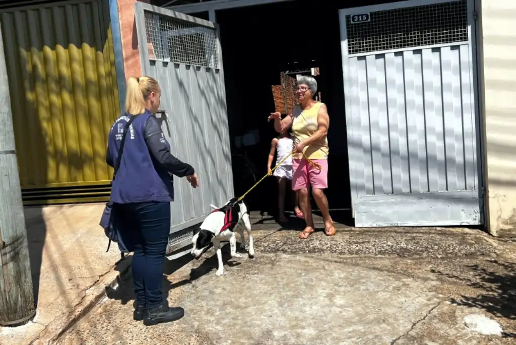 Foto: Divulgação