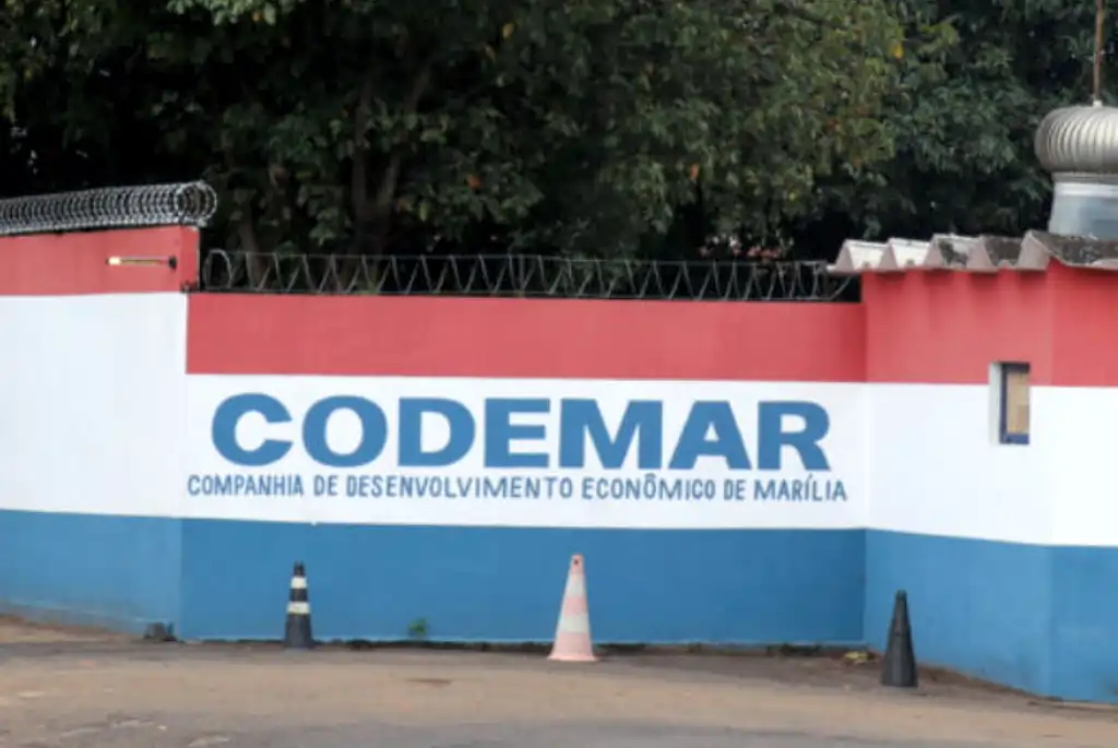 Divulgação