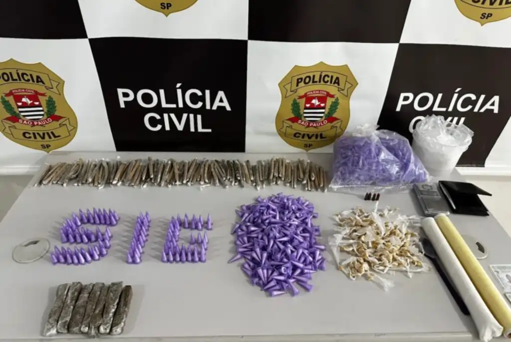 Divulgação/Polícia Civil