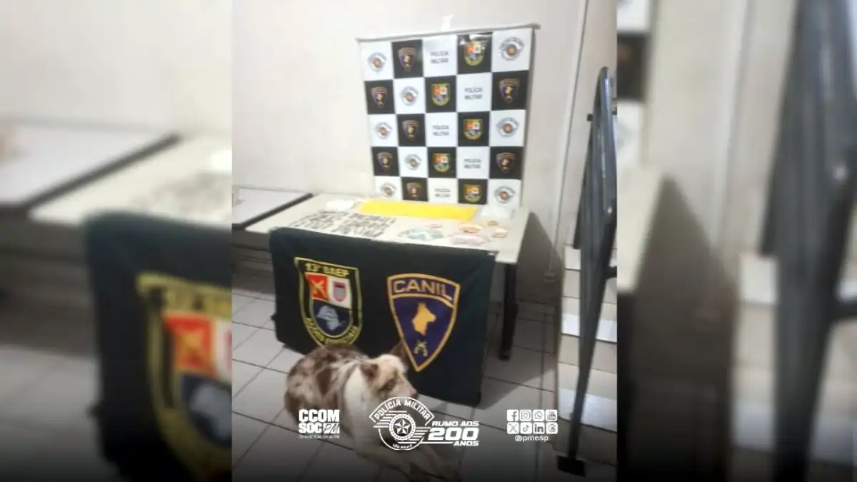 Divulgação/Polícia Militar