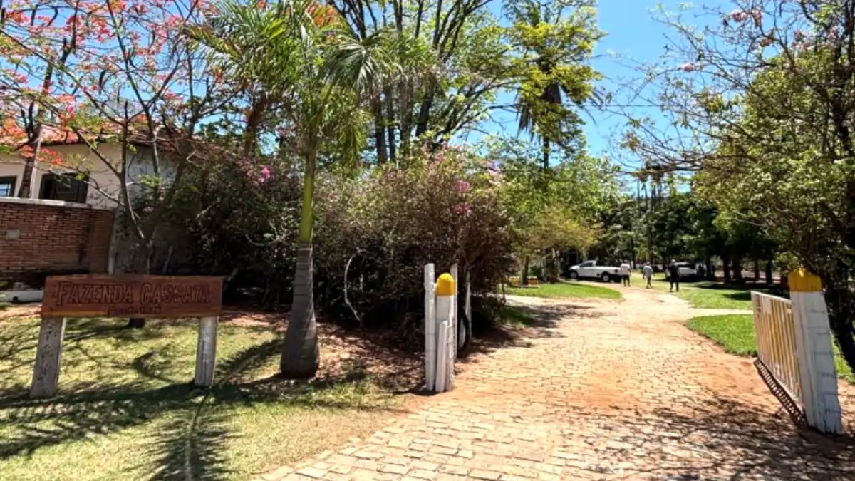 Divulgação