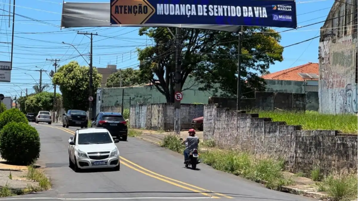 Divulgação