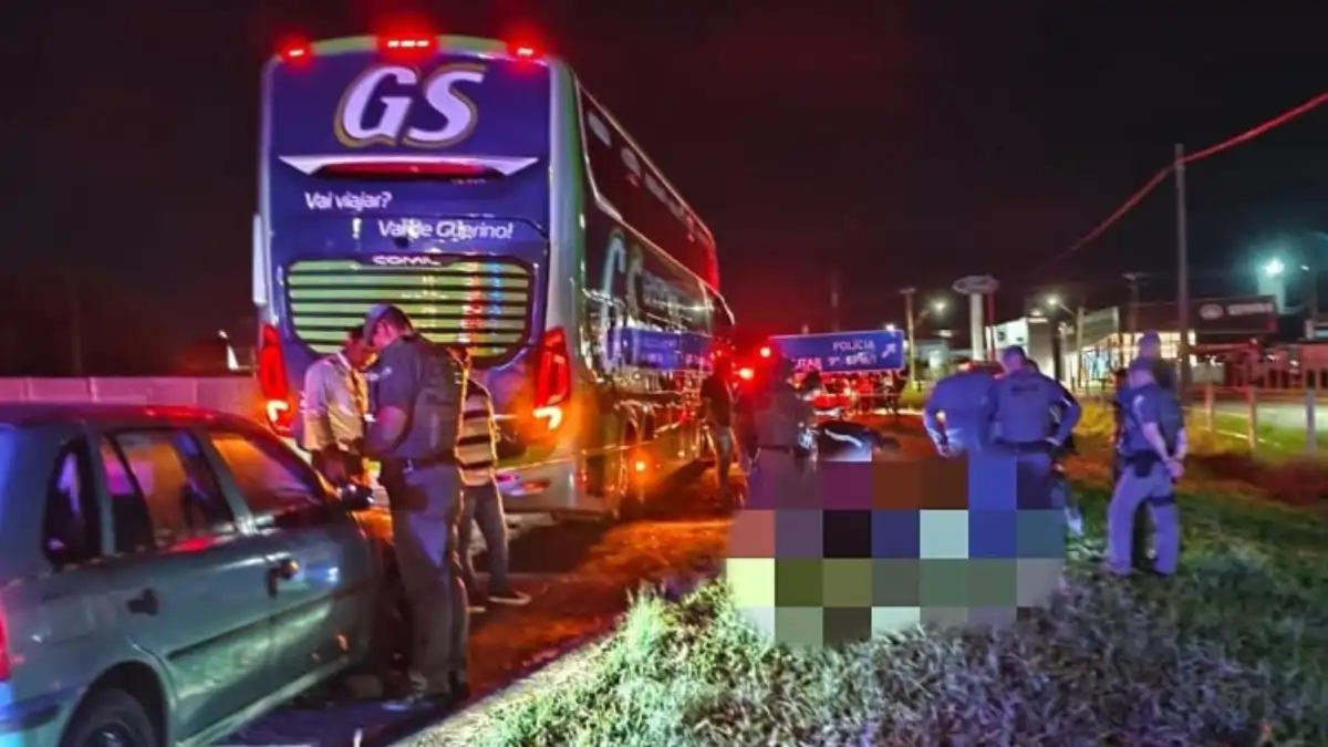 Divulgação