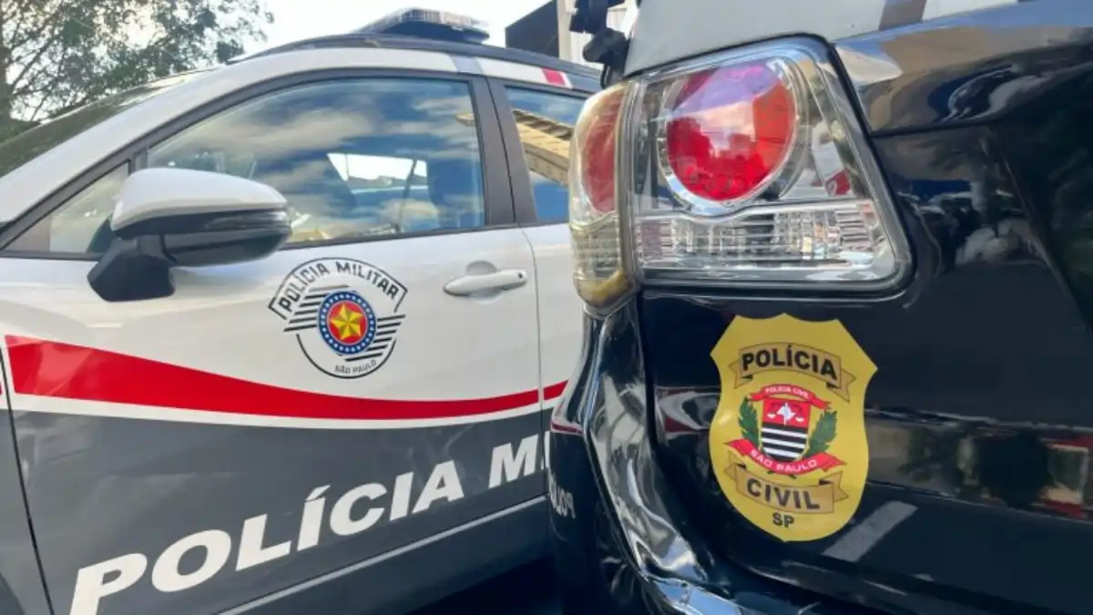 Divulgação