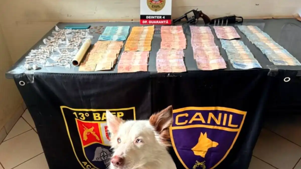 Divulgação/Polícia Milita