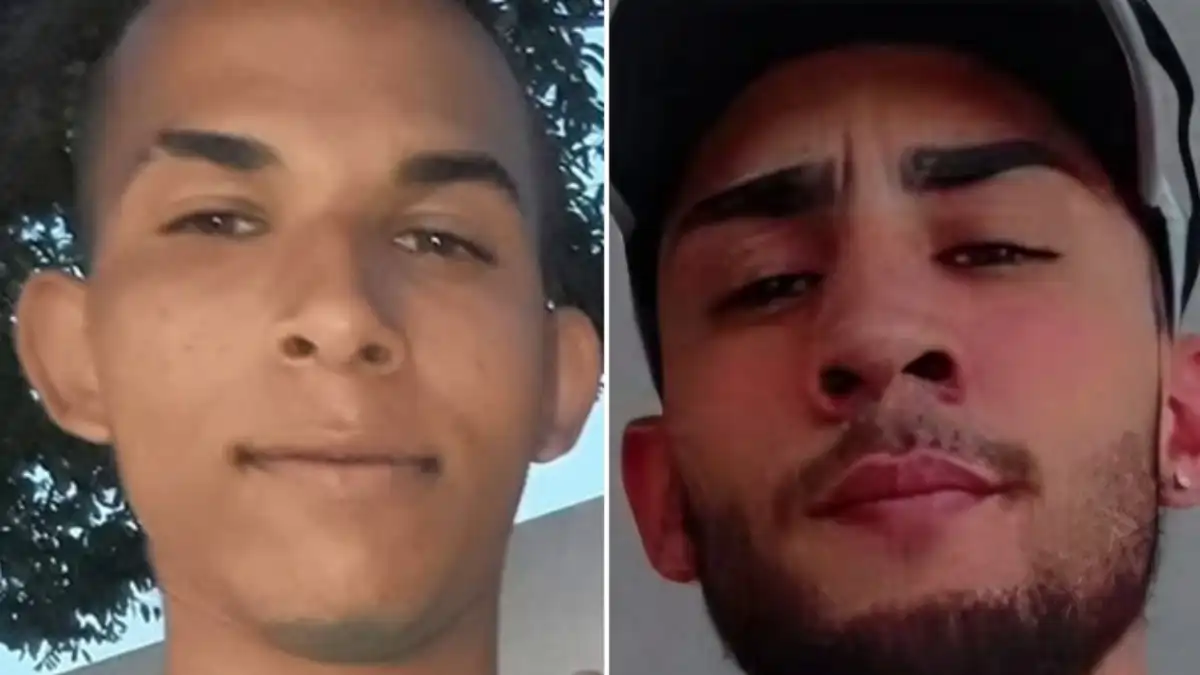 Divulgação