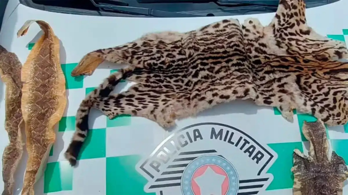 Divulgação/Polícia Ambiental