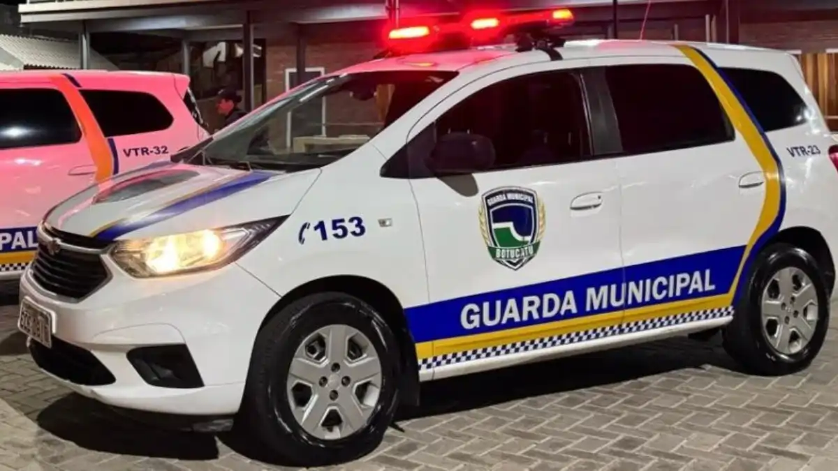 Divulgação