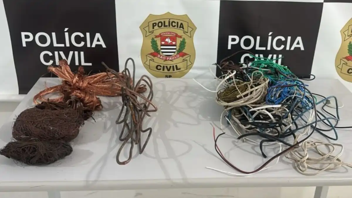 Divulgação/Polícia Civil