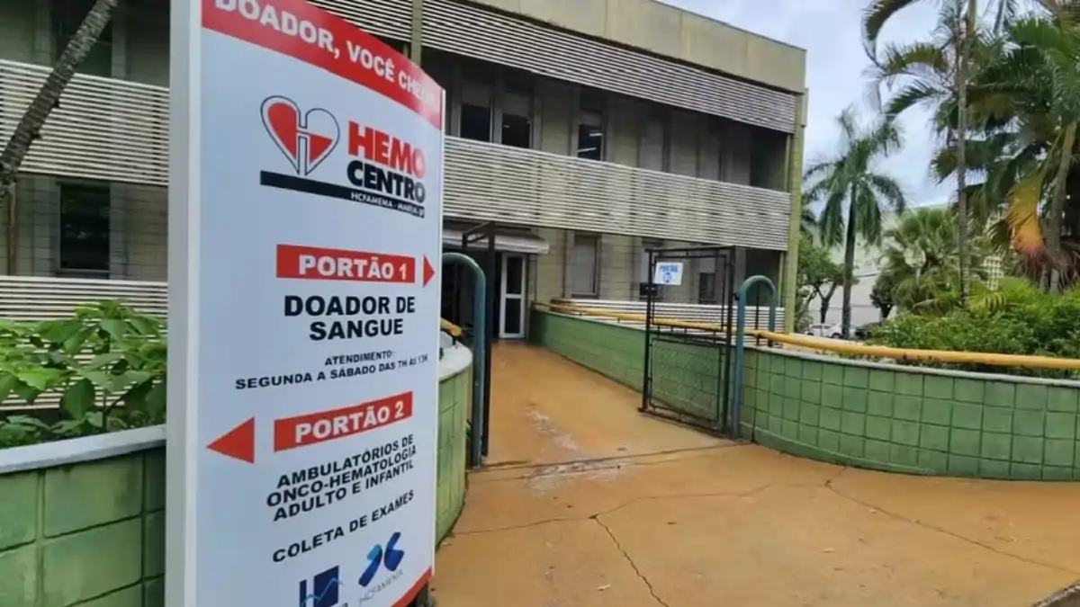 Divulgação