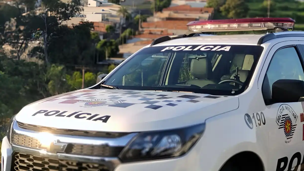 Divulgação