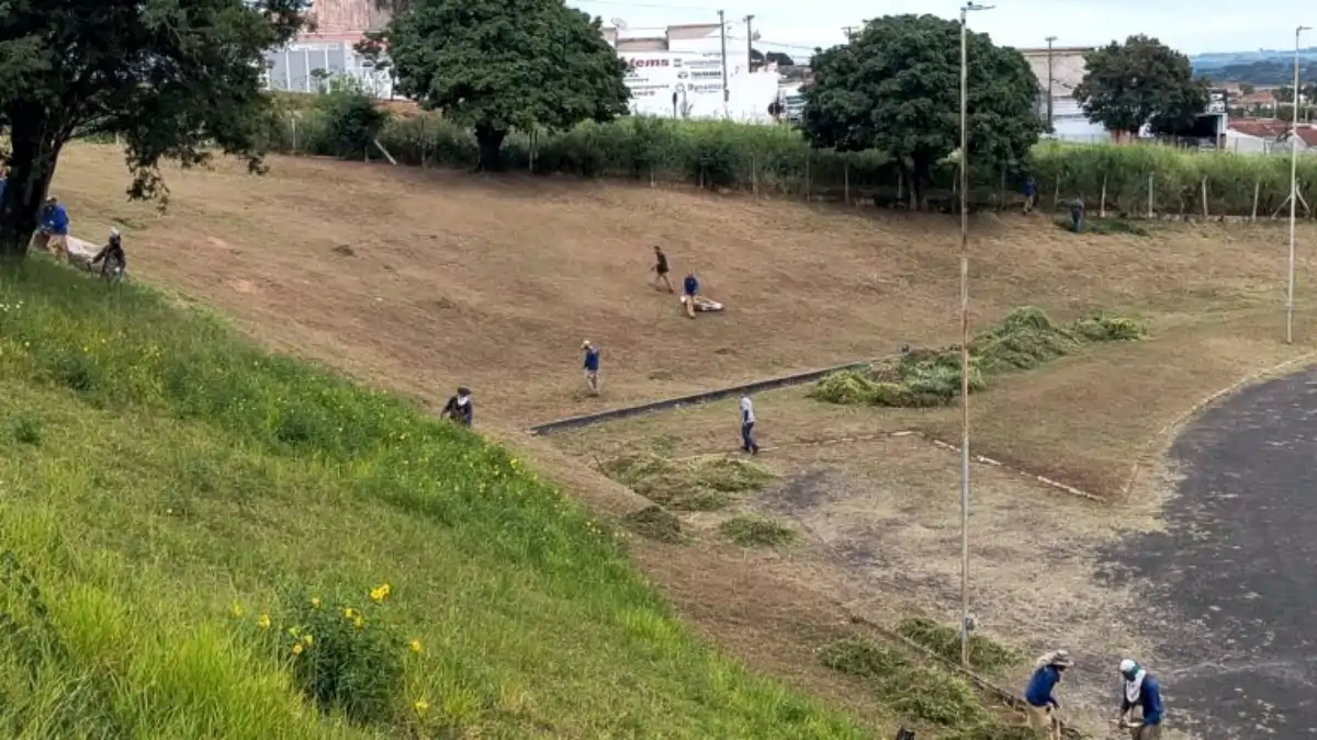 Divulgação