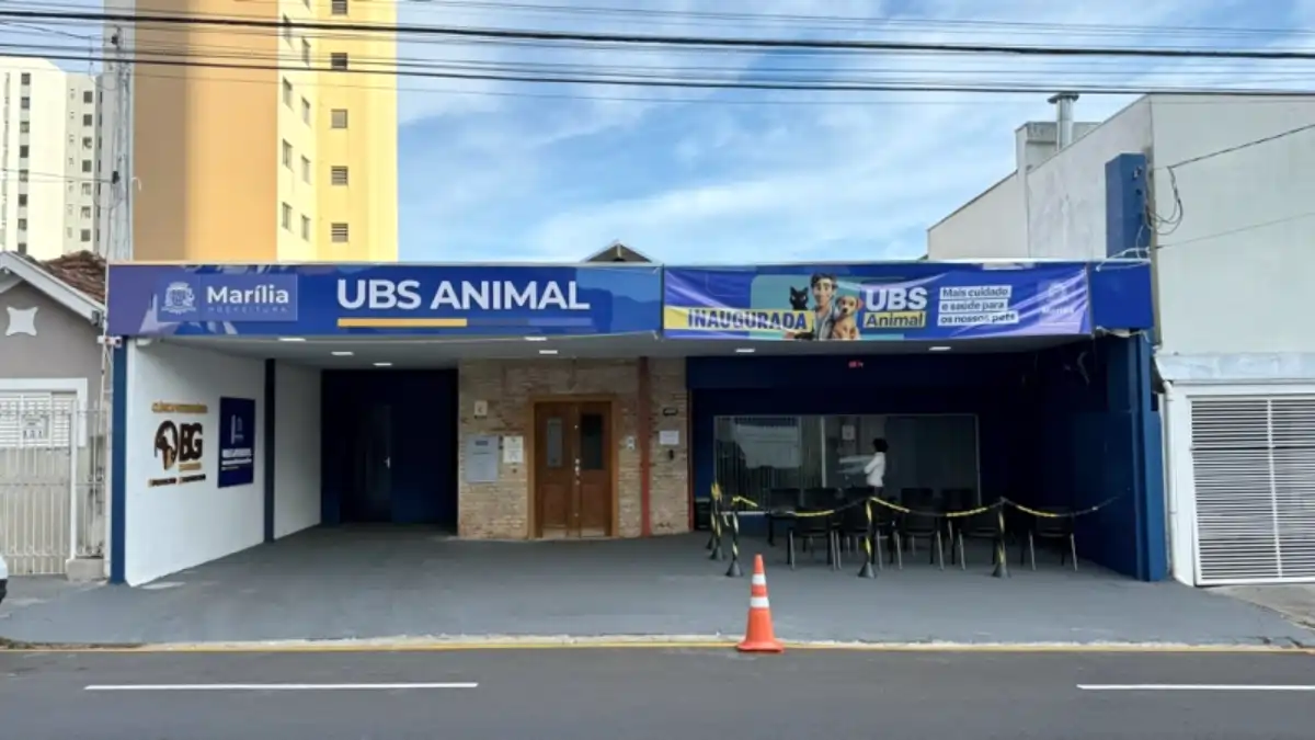 Divulgação
