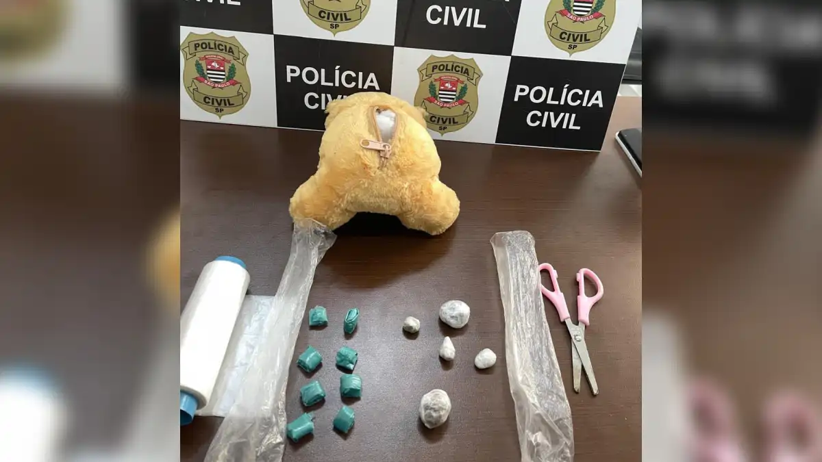 Divulgação/Polícia Civil