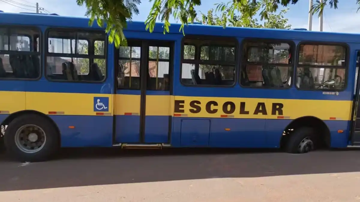 Divulgação