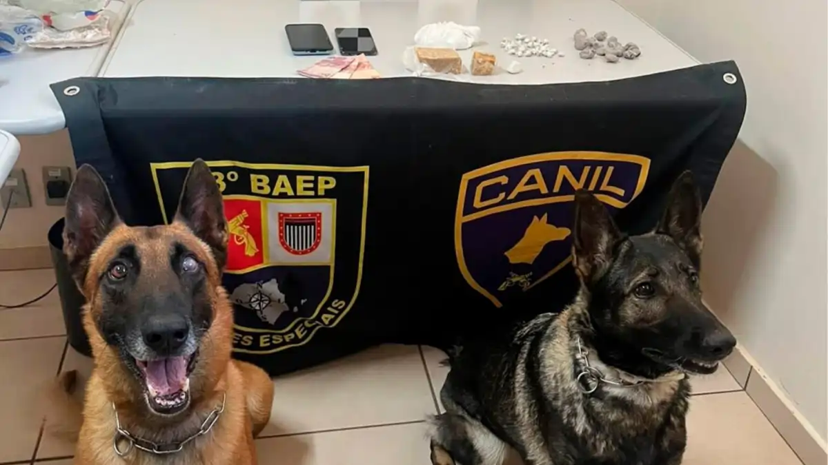 Divulgação/Polícia Militar